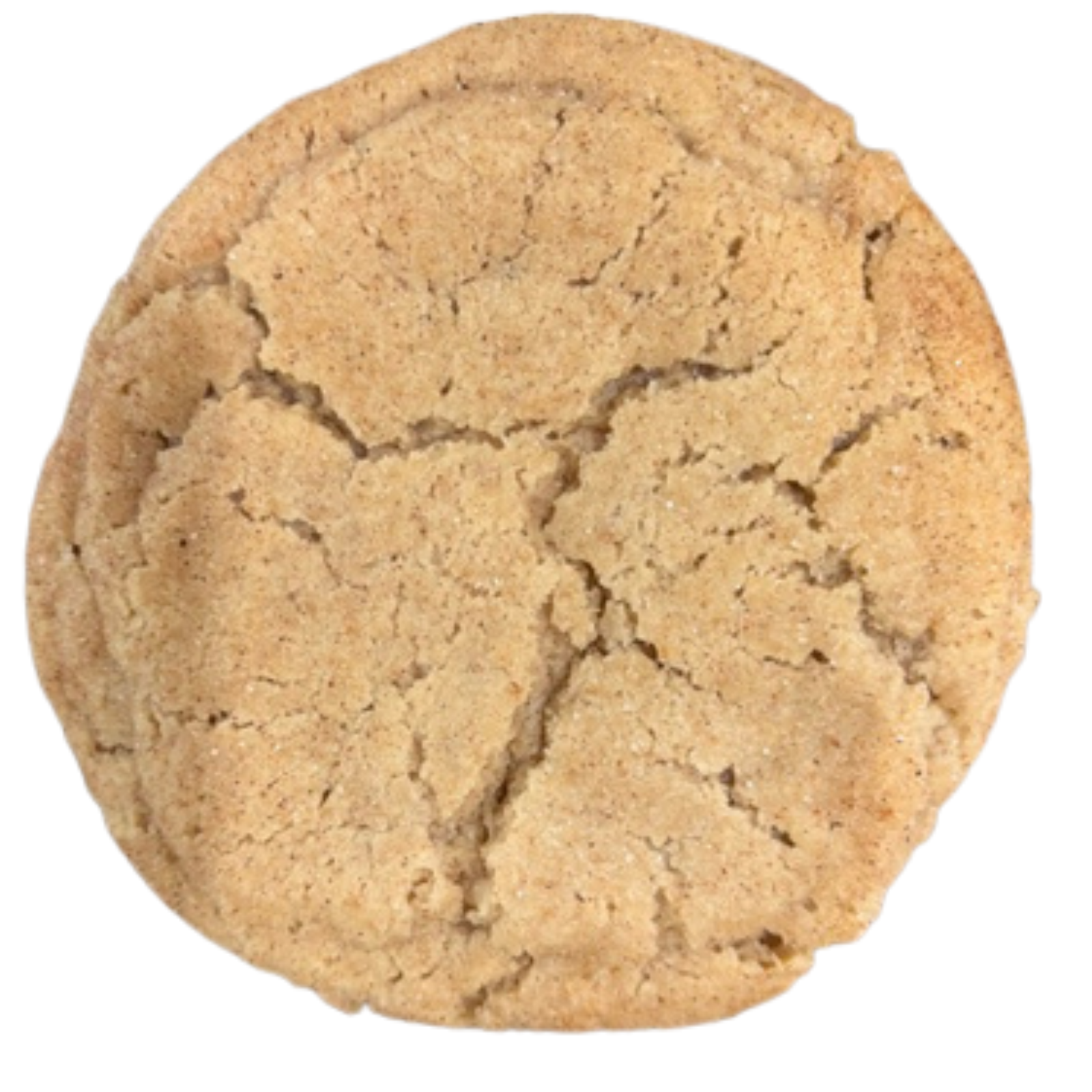 Snickerdoodle